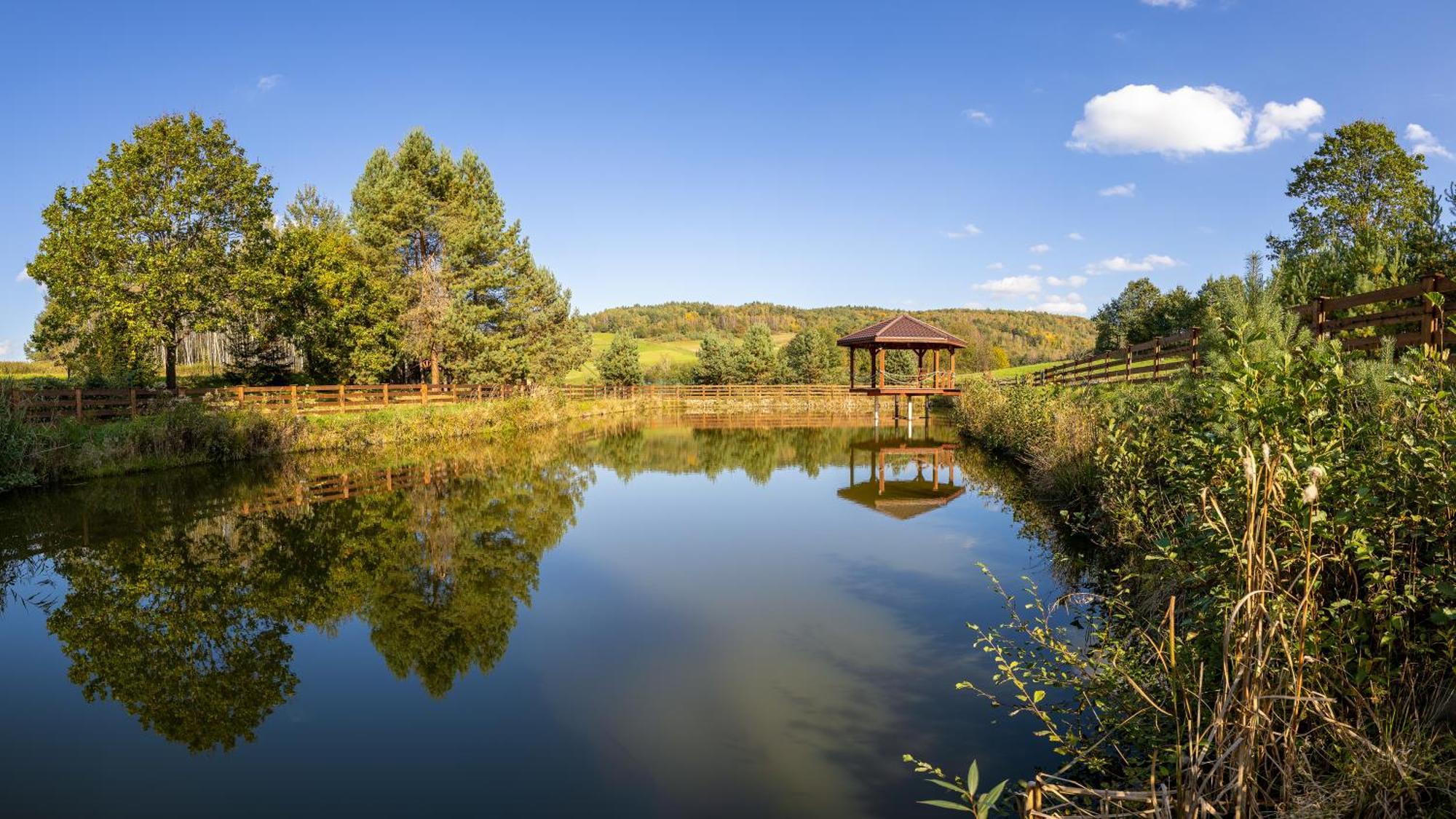 Hotel Glamping Pod Gwiazdami Pietrusza Wola Esterno foto