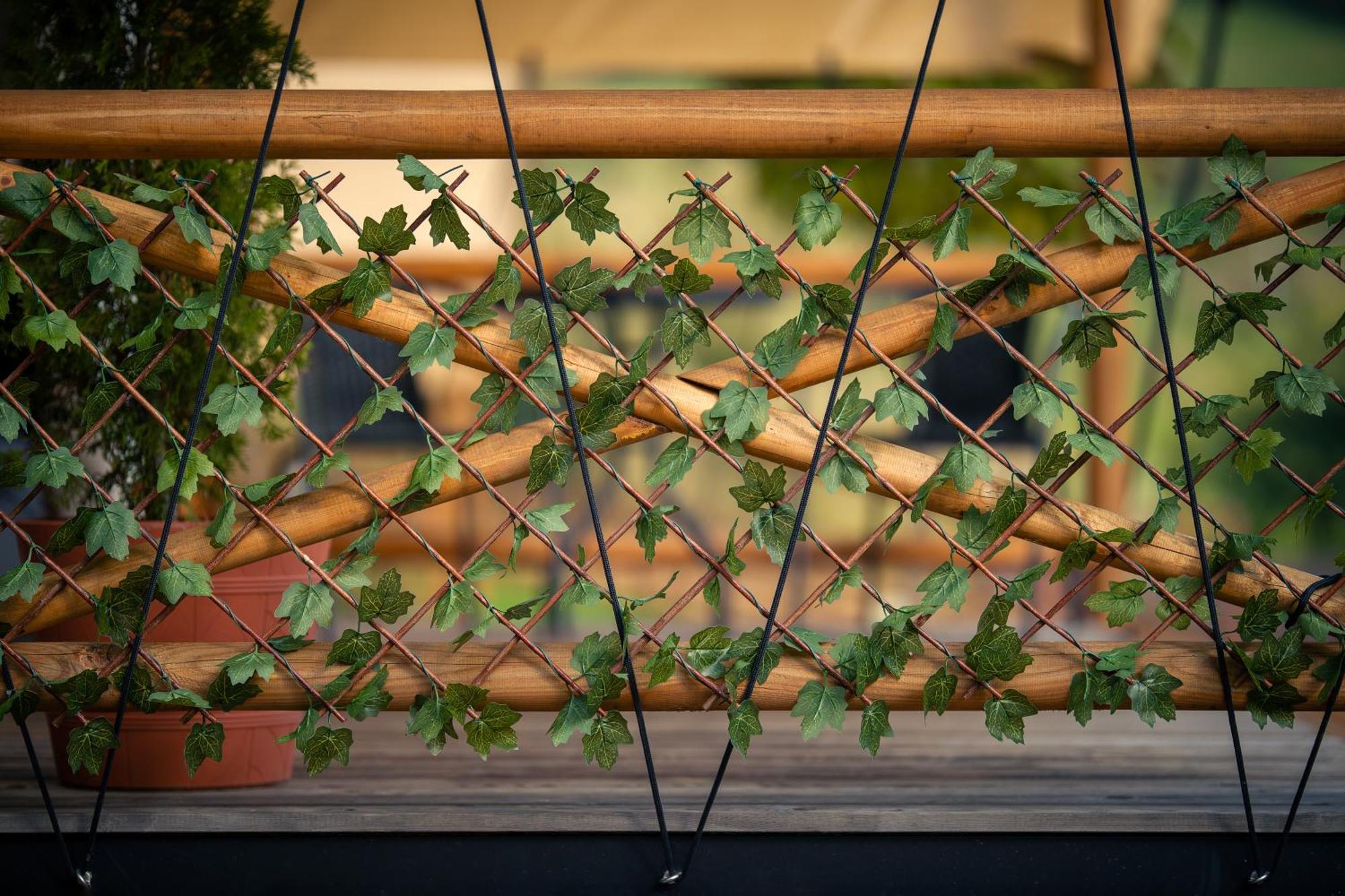 Hotel Glamping Pod Gwiazdami Pietrusza Wola Esterno foto