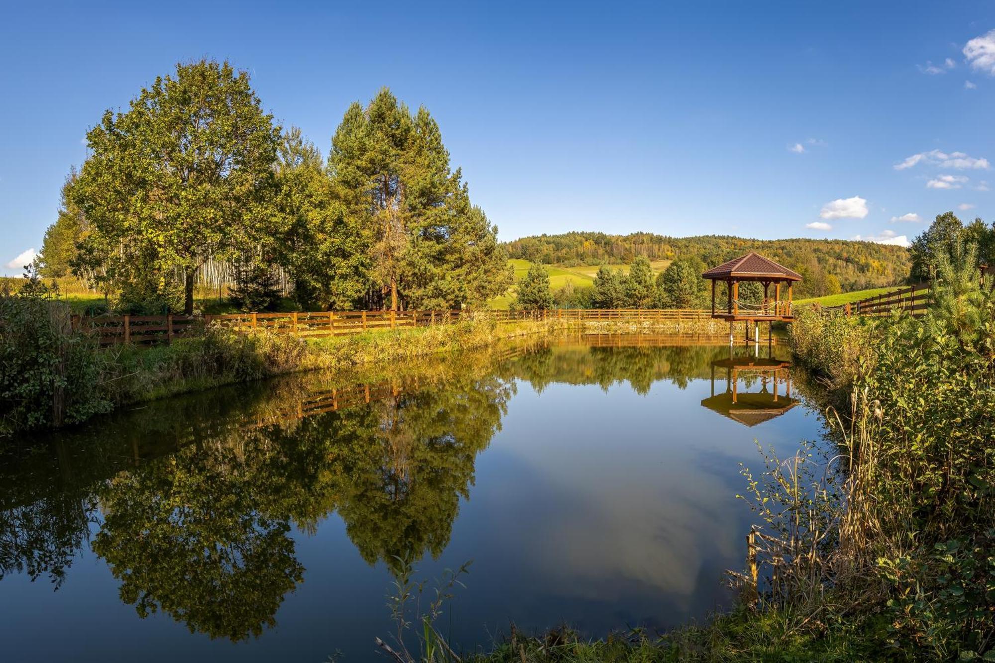Hotel Glamping Pod Gwiazdami Pietrusza Wola Esterno foto