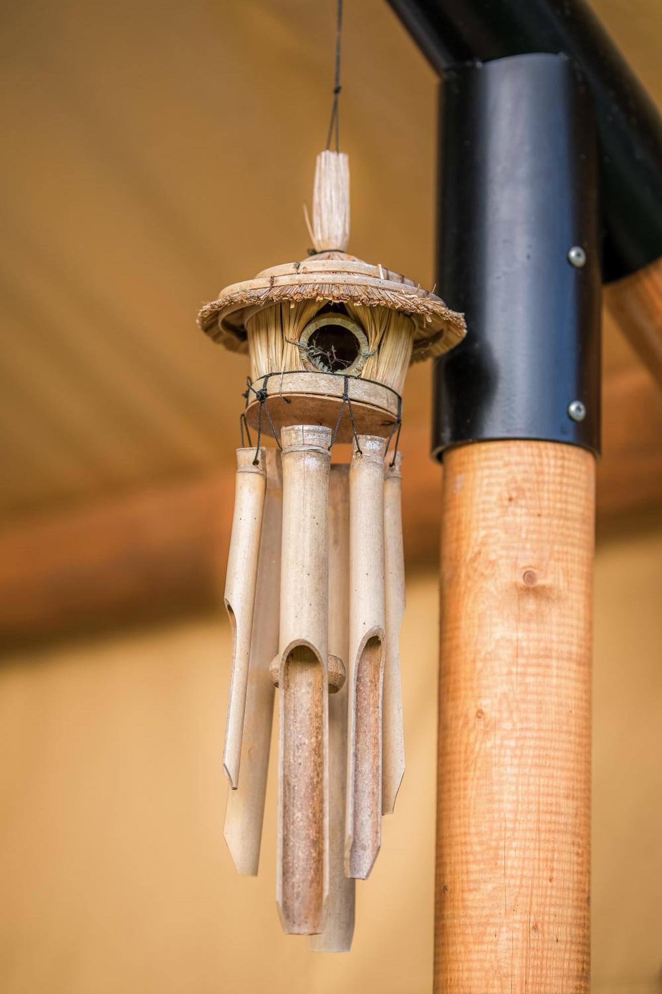 Hotel Glamping Pod Gwiazdami Pietrusza Wola Esterno foto