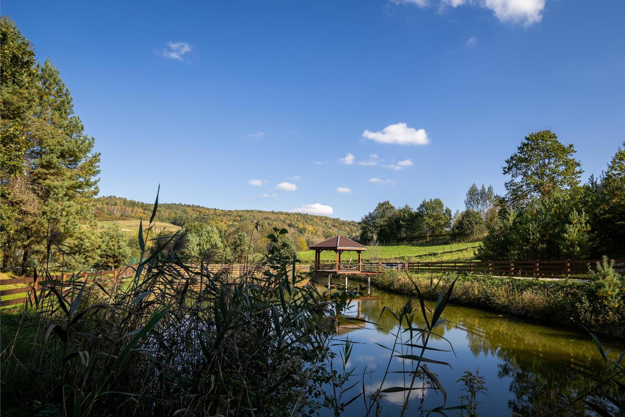 Hotel Glamping Pod Gwiazdami Pietrusza Wola Esterno foto